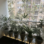 Apartamento à venda com 1 suíte em Vila Polopoli, São Paulo, SP