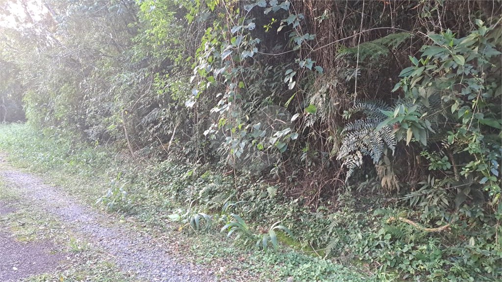 Terreno à venda no condomínio Associação Reserva das Hortênsias, Mairiporã - SP