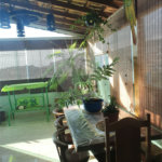 Cobertura à venda com 2 quartos em Jaraguá, São Paulo, SP