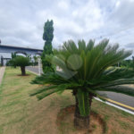 Terreno à venda no condomínio Bouganville, Sorocaba - SP