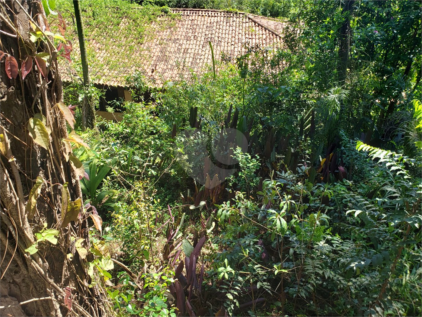Terreno à venda em Morumbi, São Paulo, SP