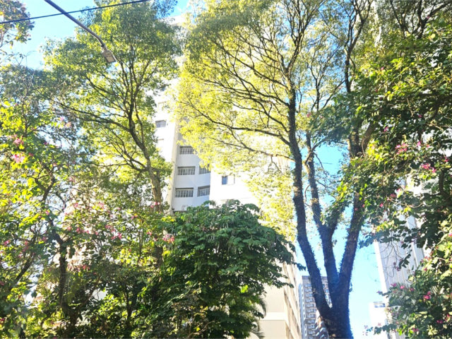 Apartamento à venda com 3 quartos em Chácara Santo Antônio (zona Sul), São Paulo, SP