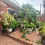 Casa Térrea à venda com 4 quartos, sendo 1 suíte,  em Vila Nova Mazzei, São Paulo, SP