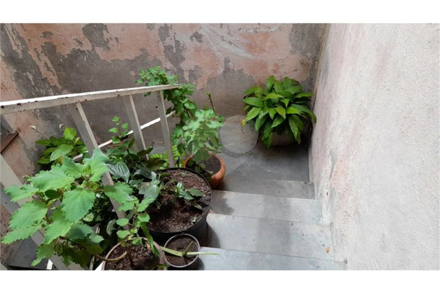 Casa à venda ou para alugar com 5 quartos, sendo 1 suíte, em Vila Romero, São Paulo, SP