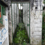 Terreno à venda em Horto Florestal, São Paulo, SP