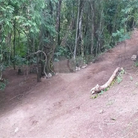 Sítio à venda no Centro, Monte Sião, MG