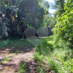 Terreno à venda no condomínio Sausalito, Mairiporã - SP