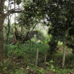 Terreno à venda em Vila Moraes, Mogi das Cruzes, SP