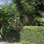 Sobrado à venda com 4 quartos, sendo 1 suíte, em Pinheiros, São Paulo, SP