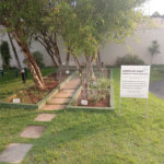 Apartamento à venda com 3 quartos, sendo 1 suíte,  em Mandaqui, São Paulo, SP