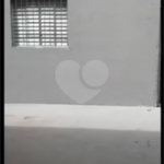 Prédio para alugar em Casa Verde, São Paulo, SP