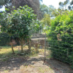 Terreno à venda com 2 quartos, sendo 1 suíte, em Jardim Floresta, São Paulo, SP