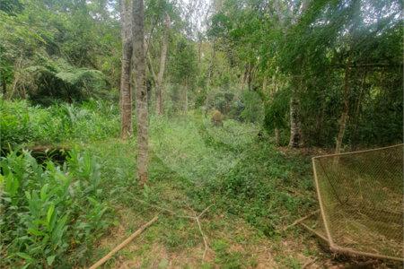 Terreno à venda em Vila Moraes, Mogi das Cruzes, SP