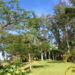 Fazenda à venda com 7 quartos, sendo 1 suíte, em Bairro Itapema, Itatiba, SP