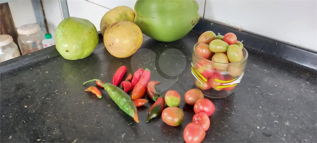 Chácara à venda com 3 quartos, sendo 2 suítes, em Recanto dos Nobres, Araraquara, SP