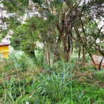 Terreno à venda no condomínio Fontes Felipe Silva, São Paulo - SP