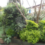 Sobrado à venda com 3 quartos, sendo 1 suíte, em Parada Inglesa, São Paulo, SP