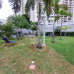 Apartamento à venda com 2 quartos, sendo 1 suíte, em Vila Leopoldina, São Paulo, SP