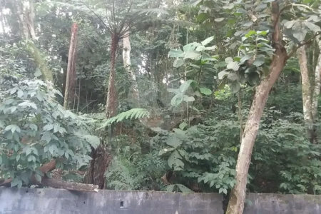 Terreno à venda em Tucuruvi, São Paulo, SP