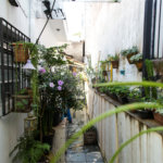 Casa à venda com 2 quartos em Vila Maria, São Paulo, SP