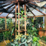 Chácara à venda com 6 quartos, sendo 2 suítes, em Vila Moraes, Mogi das Cruzes, SP