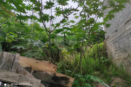 Terreno à venda em Chora Menino, São Paulo, SP
