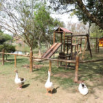 Casa à venda com 4 quartos, sendo 2 suítes,  no condomínio Granja Vianna II, Cotia - SP