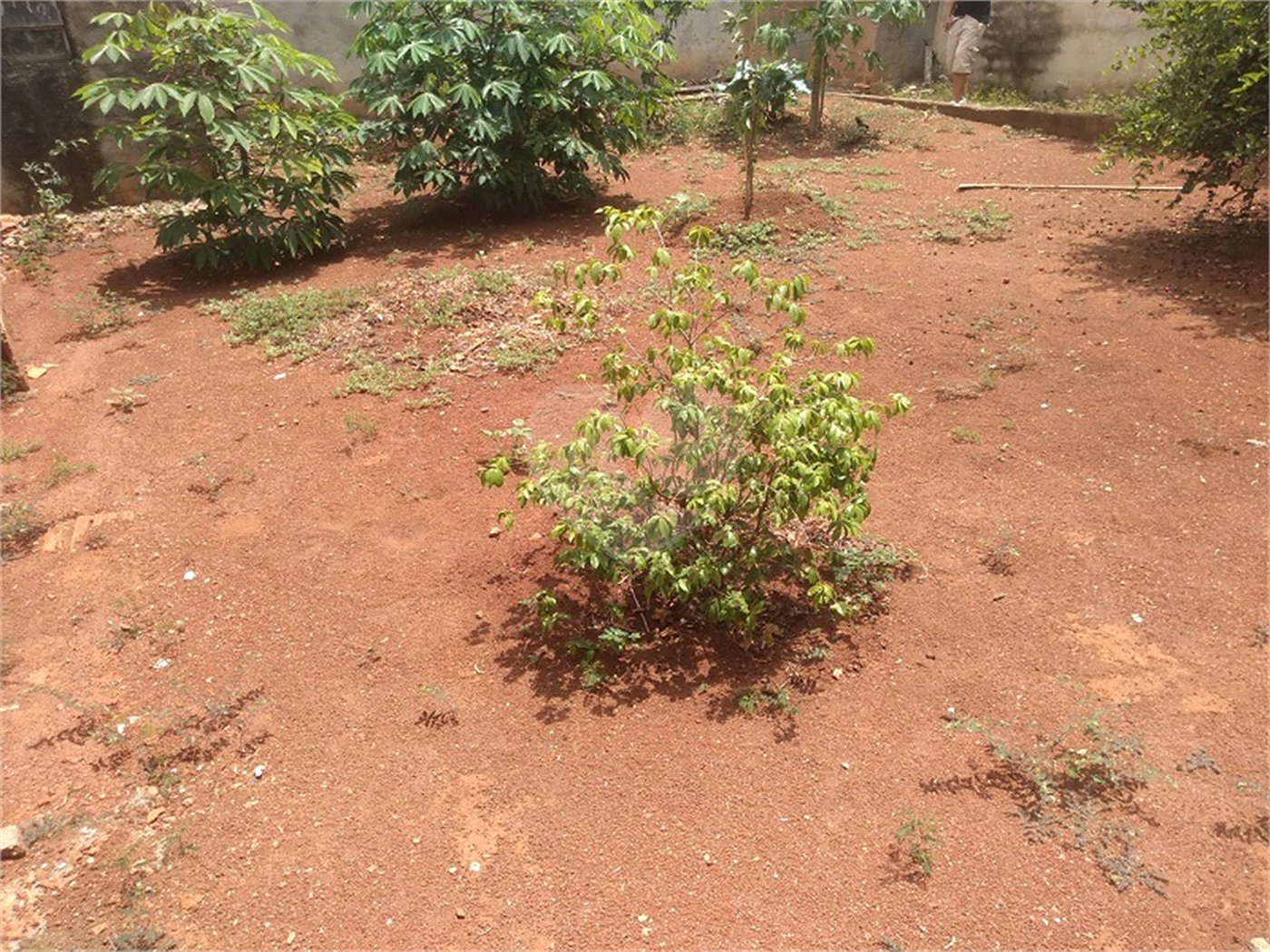 Casa Térrea à venda com 3 quartos em Jardim Alvinópolis, Atibaia, SP