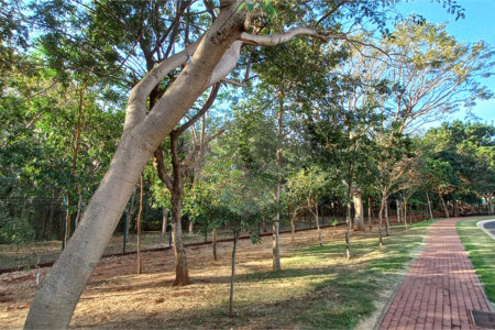 Terreno à venda em Residencial Alto do Castelo, Ribeirão Preto, SP