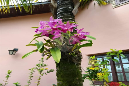 Chácara à venda com 4 suítes em Vale das Laranjeiras, Indaiatuba, SP