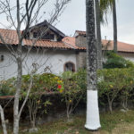 Casa à venda com 7 suítes em Área Rural de Serra Negra, Serra Negra, SP