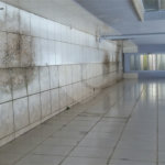 Sobrado à venda com 3 quartos em Tucuruvi, São Paulo, SP