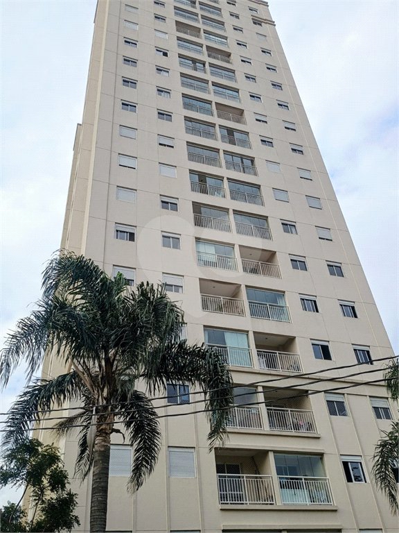 Apartamento à venda com 3 quartos, sendo 1 suíte,  em Vila Maria Alta, São Paulo, SP