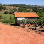 Sítio à venda no Centro, Morungaba, SP