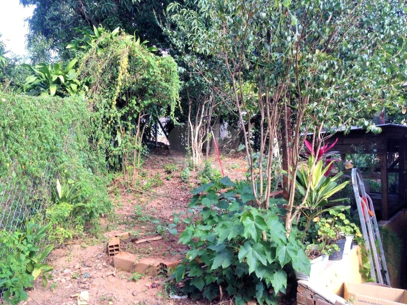 Casa à venda com 4 quartos em Capela, Vinhedo, SP