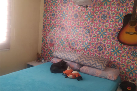 Apartamento à venda com 2 quartos em Jardim Guilhermino, Guarulhos, SP