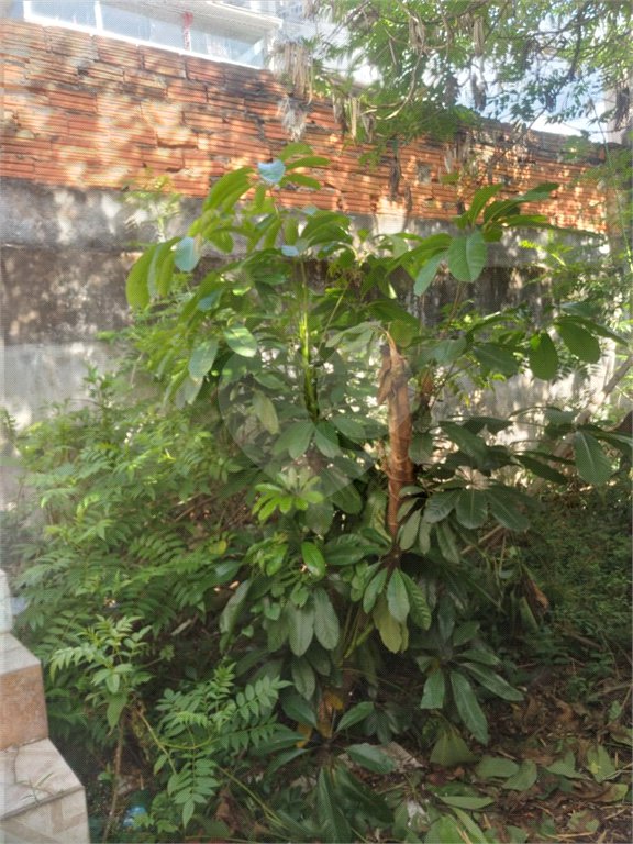 Terreno à venda em Jaçanã, São Paulo, SP