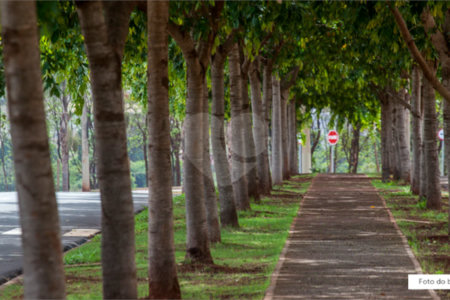 Terreno à venda em Vila do Golf, Ribeirão Preto, SP