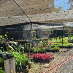 Terreno à venda em Parque Recreio Mirante, São Roque, SP