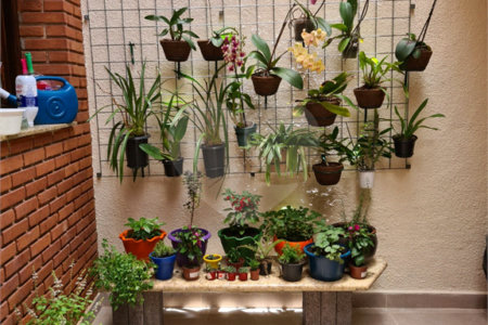 Casa com 3 dorm, 2 suítes, área gourmet, 4 vagas na Mooca