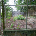 Chácara à venda com 4 quartos, sendo 2 suítes, em Vila Santa Rita, São Roque, SP