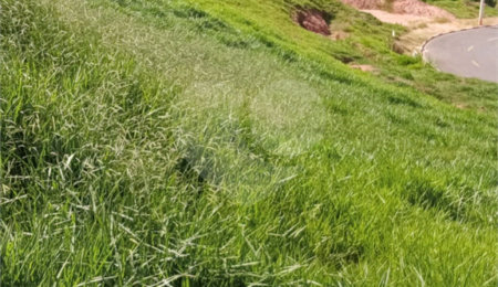 Terreno à venda no condomínio Alto da Floresta Residencial, Bom Jesus dos Perdões - SP