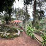 Casa à venda ou para alugar com 5 quartos em Roseira, Mairiporã, SP