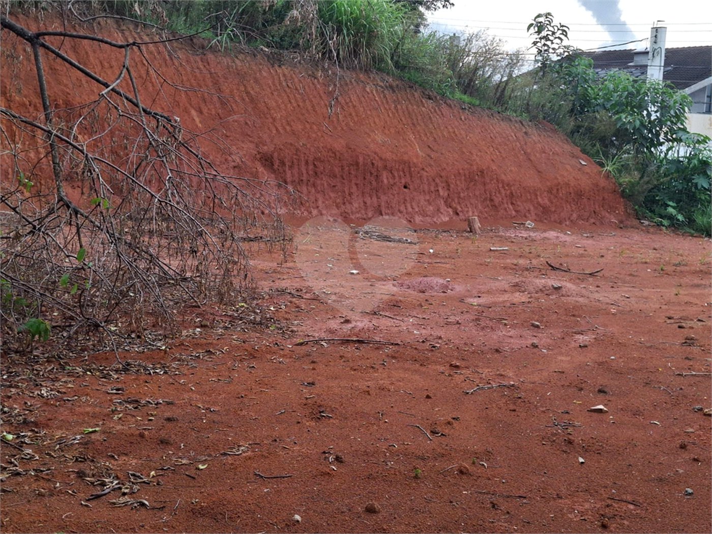 Terreno à venda em Vila Albertina, São Paulo, SP