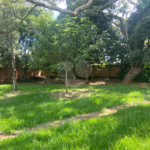 Chácara à venda com 1 quarto em Chácara Flora Araraquara, Araraquara, SP