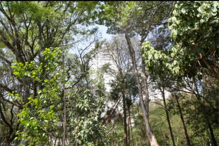 Apartamento à venda com 4 quartos, sendo 2 suítes, em Lar São Paulo, São Paulo, SP