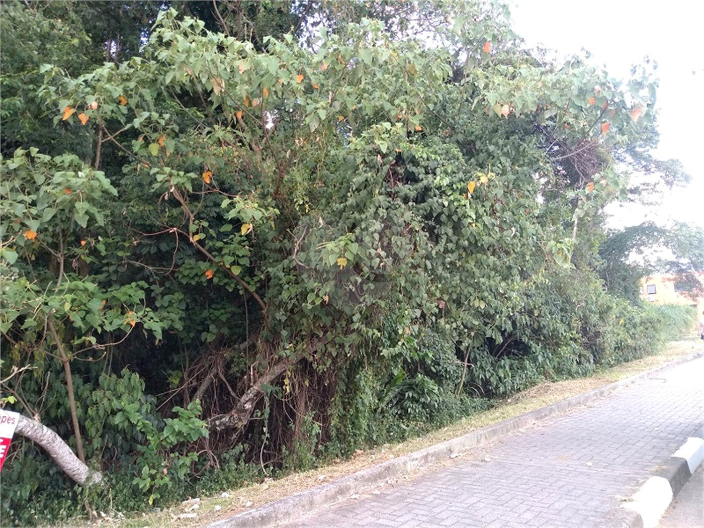 Terreno à venda em Vila Junqueira, Atibaia, SP