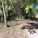 Condomínio à venda em Caraguatá, Mairiporã, SP