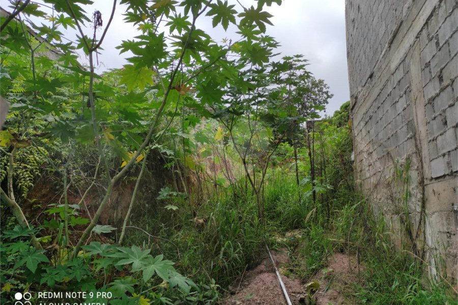 Terreno à venda em Santana, São Paulo, SP