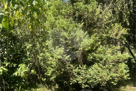 Chácara à venda com 5 quartos, sendo 2 suítes,  em Vila São Paulo, Mogi das Cruzes, SP